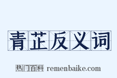青芷反义词是什么意思的图片
